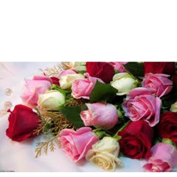 Vanda Florist