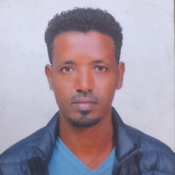 ASHENAFI WOLDEMA