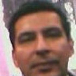 Jose Luis Castro Amaya