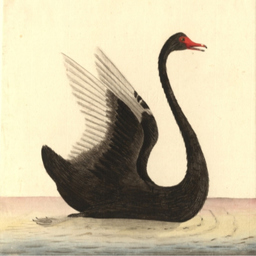 Christian Gerer