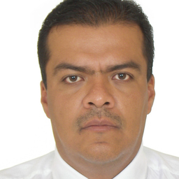 Gerardo Palomares Medina Palomares Medina