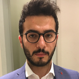 Emre Furkan Borak