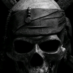 Claudio Grün's profile picture