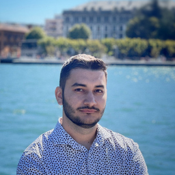 Alin Simion