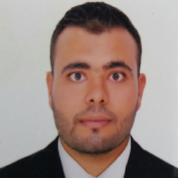 Amir Bouzidi - Industrial Engineering Technician - Aptiv | XING