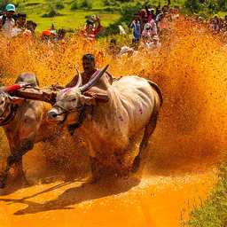 Hadja-Michael Czylwik jr