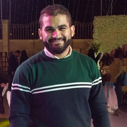 Ing. Mohamed Walid
