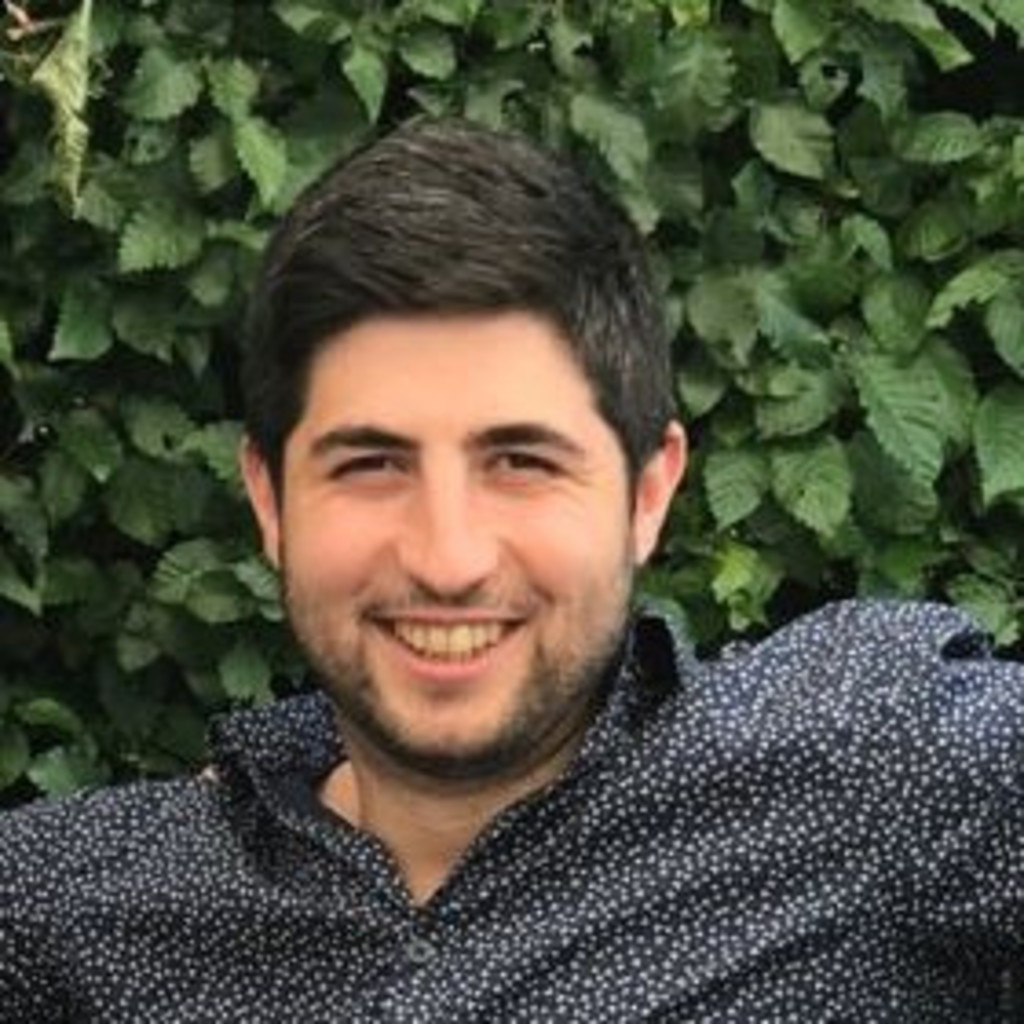 Dipl.Ing. Ioan Nes Quality Engineer Products and Systems Philips