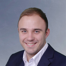 Niklas Zarins