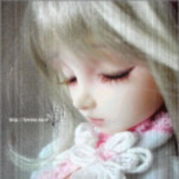 Fan Yang