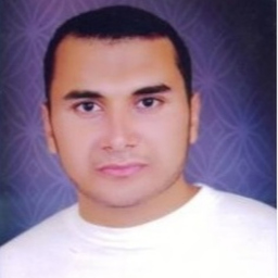 Ibrahim Ali