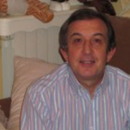 Jose Luis Del Pie Najera