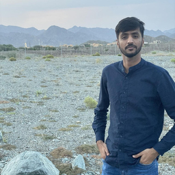 Majid Ali