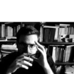 Ignacio Pajón Leyra's profile picture