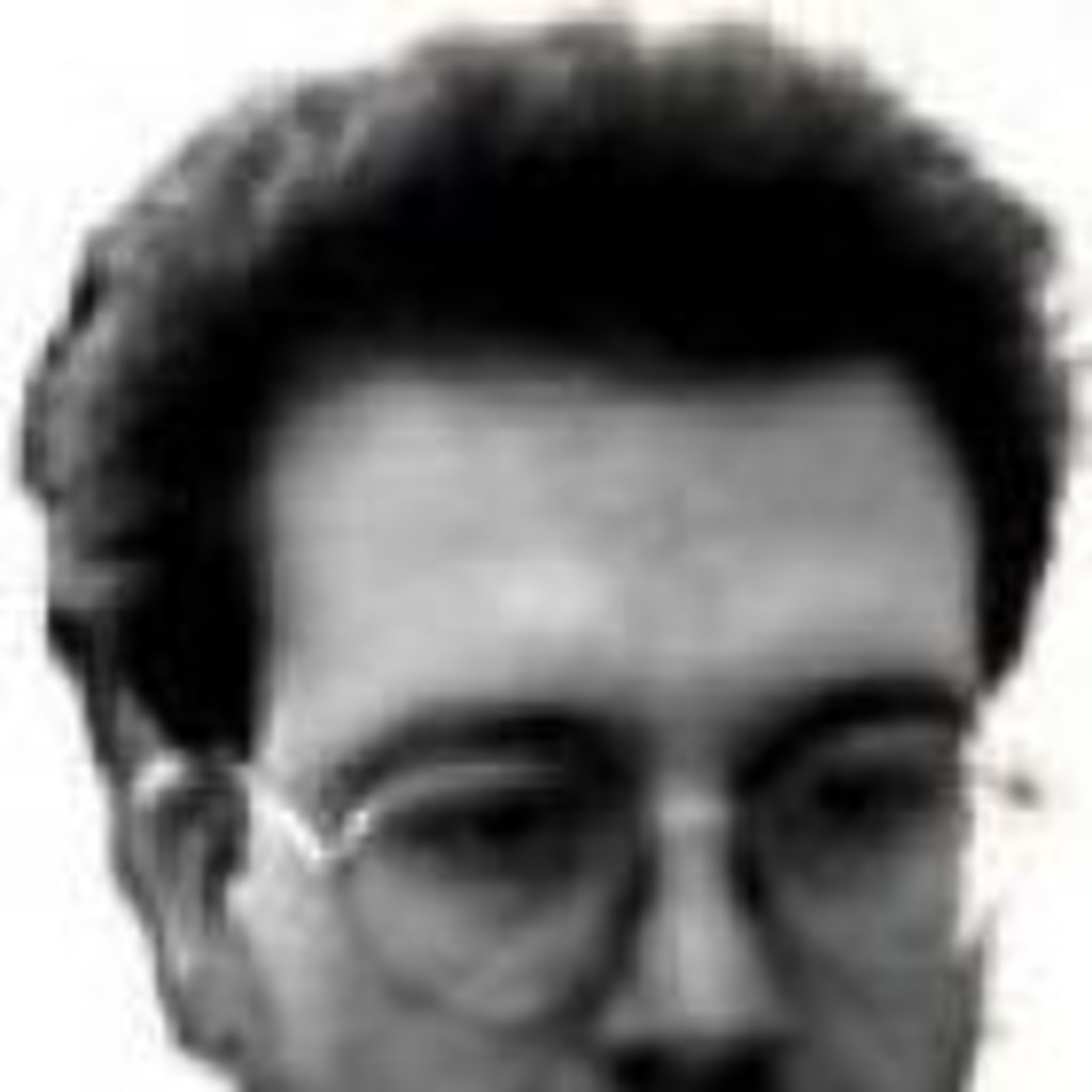 Lorenzo Lugli IT Professional Biesse Spa XING