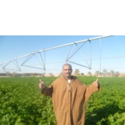Mounib Oubiri