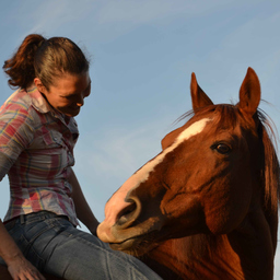 Anke Wiedenroth's profile picture