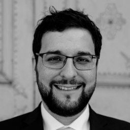 Dr. Dominik Mautz