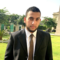 Ibrahim Abdelrahman's profile picture