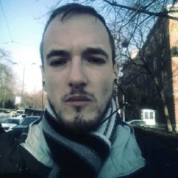 Vladimir Salijevic