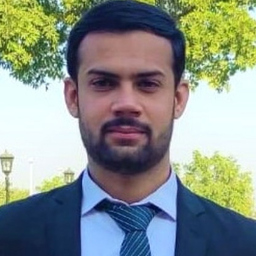 Ameer Hamza