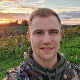 Michael Stein