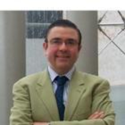 Efren Flores Garcia