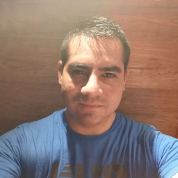 Ing. Carlos Guzman Herrera