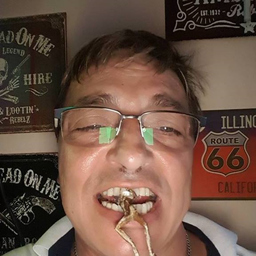 Dieter Triska