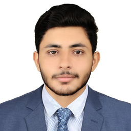 Talha Amin