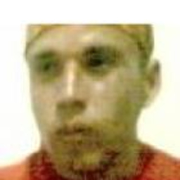 VICENTE GONZALEZ BRISEÑO