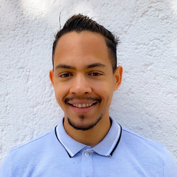 RICARDO NOVAIS DE ANDRADE