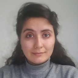 Sajedeh Firouzizadeh