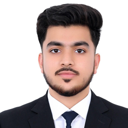 Wali Haider