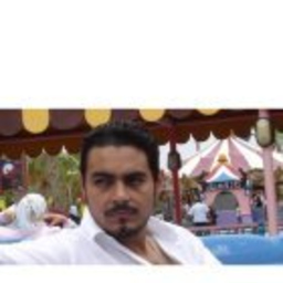 Walid Salah