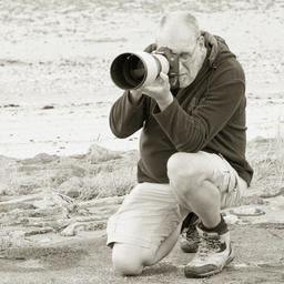 wolfgang witzke