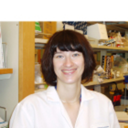 Dr. Korinna Wend