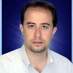 Meisam Arabian