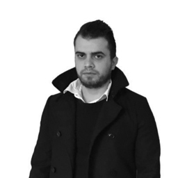 MHD Alaa Alsayed