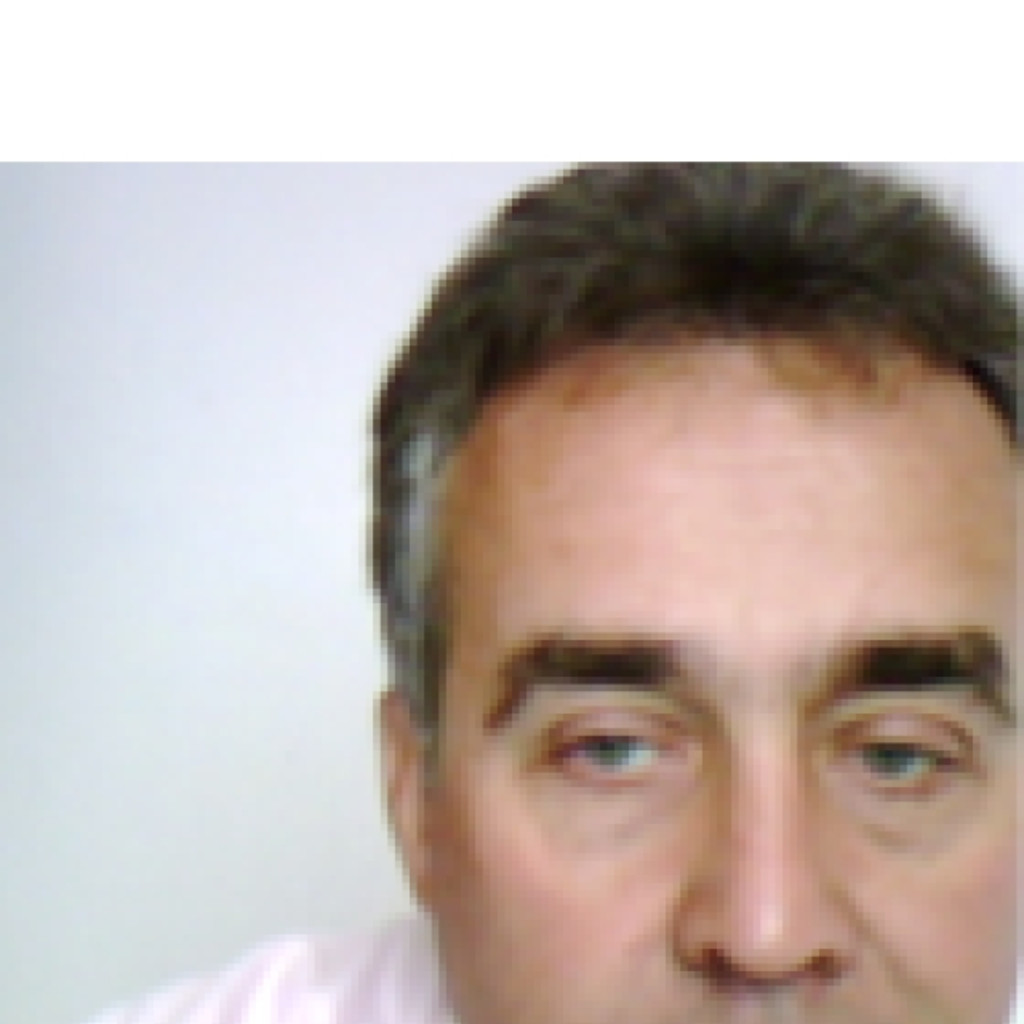 Daniel Dumitru MANAGER ROMEXPORT ROMANIA XING