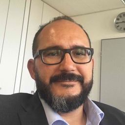 Fernando Pontes