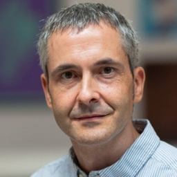 Albert Pont Catalán