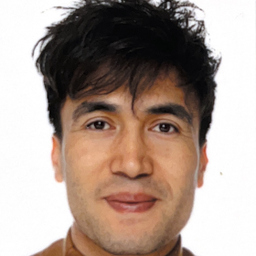 Shafiq Ahmadi
