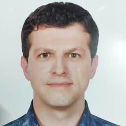 Amirhossein Shiranibidbadi