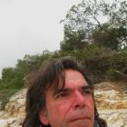 Renato del Solar Bahamondes