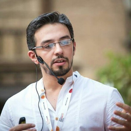 Mohamed Saleh