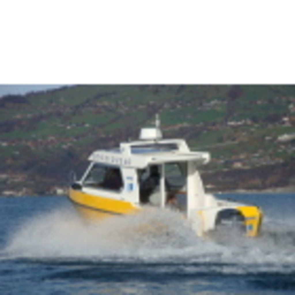 Andreas Gehri Geschäftsführer Gehri Bootsschule Thunersee XING