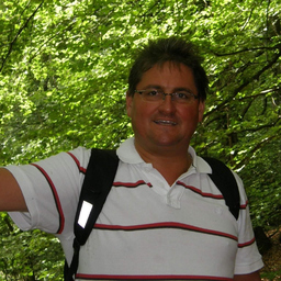 Dirk Brandes