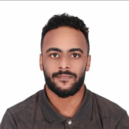 Amin Abdelsamad's profile picture