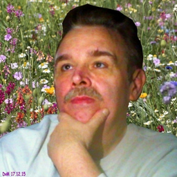 Dirk van Mameren